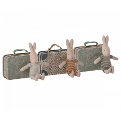Rabbit in suitcase, Micro...