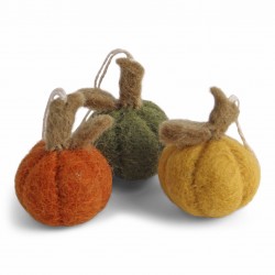 Pumpkins Mini - Mix - Set...