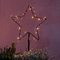 Top-Line Garden Star - Sirius