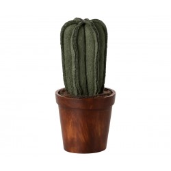 Vaso di fiori con cactus...