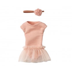 Ballet suit and skirt rose,...