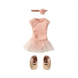 Ballet suit and skirt rose,...