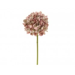 Hydrangea Antique Pink...