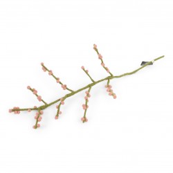Branch with rose berries -...