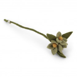 Mint Green flowers on the...