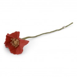 Poppy Flower - Coral - Gry...