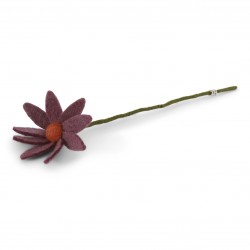 Cosmos Flower - Light...