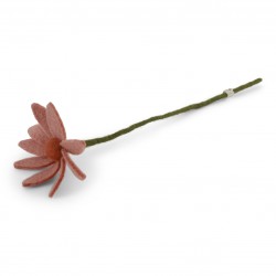 Cosmos Flower - Light Peach...