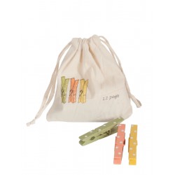 Spring Pegs in a Bag 2012 -...