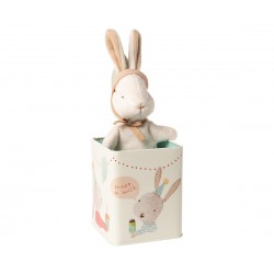 Happy day bunny in box...