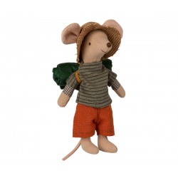 Hiker mouse Big brother...
