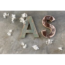 Wooden Letters Typo W15